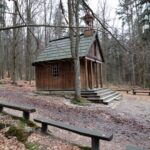 Spacer po Puszczy Jodłowej w Świętej Katarzynie / Robert Felczak / Radio Kielce