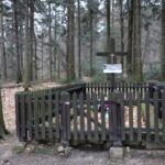 Spacer po Puszczy Jodłowej w Świętej Katarzynie / Robert Felczak / Radio Kielce