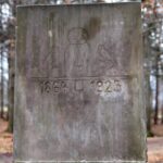 Spacer po Puszczy Jodłowej w Świętej Katarzynie / Robert Felczak / Radio Kielce