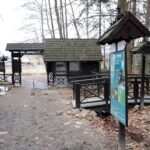 Spacer po Puszczy Jodłowej w Świętej Katarzynie / Robert Felczak / Radio Kielce