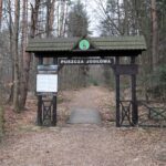 Spacer po Puszczy Jodłowej w Świętej Katarzynie / Robert Felczak / Radio Kielce