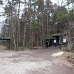 Spacer po Puszczy Jodłowej w Świętej Katarzynie / Robert Felczak / Radio Kielce