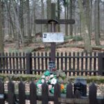 Spacer po Puszczy Jodłowej w Świętej Katarzynie / Robert Felczak / Radio Kielce