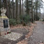 Spacer po Puszczy Jodłowej w Świętej Katarzynie / Robert Felczak / Radio Kielce