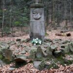 Spacer po Puszczy Jodłowej w Świętej Katarzynie / Robert Felczak / Radio Kielce