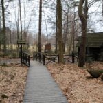 Spacer po Puszczy Jodłowej w Świętej Katarzynie / Robert Felczak / Radio Kielce