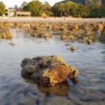 Tajlandia. Krabi / Andrzej Sierzputowski, Aleksander Piekarski