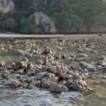 Tajlandia. Krabi / Andrzej Sierzputowski, Aleksander Piekarski