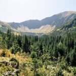 Na tatrzańskich szlakach dochodzi do aktów wandalizmu. TPN apeluje o reagownie