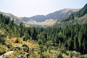 Na tatrzańskich szlakach dochodzi do aktów wandalizmu. TPN apeluje o reagownie