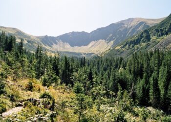 Na tatrzańskich szlakach dochodzi do aktów wandalizmu. TPN apeluje o reagownie