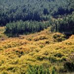 Tatry Polskie / Jerzy Jop / Radio Kielce