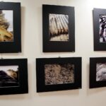 Galeria Biblioteki Uniwersyteckiej UJK. Wystawa prac Leszka Mądzika (26 kwietnia 2017 r.) / Jarosław Kubalski / Radio Kielce