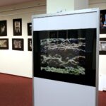 Galeria Biblioteki Uniwersyteckiej UJK. Wystawa prac Leszka Mądzika (26 kwietnia 2017 r.) / Jarosław Kubalski / Radio Kielce