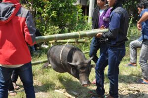 "Muzyczne Podróże Przez Świat". Indonezja. Sulawesi / Majka Szura