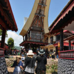 "Muzyczne Podróże Przez Świat". Indonezja. Sulawesi / Majka Szura