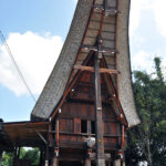 "Muzyczne Podróże Przez Świat". Indonezja. Sulawesi / Majka Szura