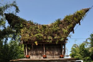 "Muzyczne Podróże Przez Świat". Indonezja. Sulawesi / Majka Szura