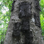 "Muzyczne Podróże Przez Świat". Indonezja. Sulawesi / Majka Szura