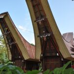 "Muzyczne Podróże Przez Świat". Indonezja. Sulawesi / Majka Szura