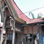 "Muzyczne Podróże Przez Świat". Indonezja. Sulawesi / Majka Szura