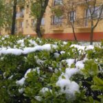 17.04.2017 Jędrzejów. Poniedziałek Wielkanocny ze śniegiem / Ewa Pociejowska - Gawęda / Radio Kielce