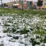 17.04.2017 Jędrzejów. Poniedziałek Wielkanocny ze śniegiem / Ewa Pociejowska - Gawęda / Radio Kielce