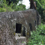 "Muzyczne Podróże Przez Świat". Indonezja. Sulawesi / Majka Szura