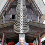 "Muzyczne Podróże Przez Świat". Indonezja. Sulawesi / Majka Szura