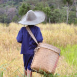 "Muzyczne Podróże Przez Świat". Indonezja. Sulawesi / Majka Szura