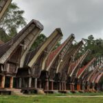 "Muzyczne Podróże Przez Świat". Indonezja. Sulawesi / Majka Szura