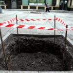 Kielce. Wymiana drzew na ulicy Sienkiewicza (3 kwietnia 2017 r) / Jarosław Kubalski / Radio Kielce