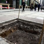 Kielce. Wymiana drzew na ulicy Sienkiewicza (3 kwietnia 2017 r) / Jarosław Kubalski / Radio Kielce