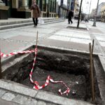 Kielce. Wymiana drzew na ulicy Sienkiewicza (3 kwietnia 2017 r) / Jarosław Kubalski / Radio Kielce