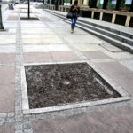 Kielce. Wymiana drzew na ulicy Sienkiewicza (3 kwietnia 2017 r) / Jarosław Kubalski / Radio Kielce