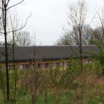 Nieprowice (gmina Złota). Program „Interwencja”. Mieszkańcy protestują przeciwko budowie chlewni na terenie dawnego PGR-u / Rafał Szymkiewicz / Radio Kielce