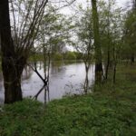 29.04.2017 Wąchock. Przekroczony stan alarmowy na rzece Kamienna / Tomasz Piwko / Radio Kielce