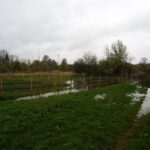 29.04.2017 Wąchock. Przekroczony stan alarmowy na rzece Kamienna / Tomasz Piwko / Radio Kielce