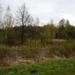 29.04.2017 Wąchock. Przekroczony stan alarmowy na rzece Kamienna / Tomasz Piwko / Radio Kielce