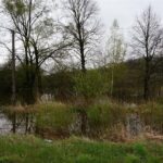 29.04.2017 Wąchock. Przekroczony stan alarmowy na rzece Kamienna / Tomasz Piwko / Radio Kielce