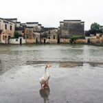 Chiny / Artur Laisen