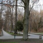 Park Zdrojowy w Busku-Zdroju / Robert Felczak / Radio Kielce