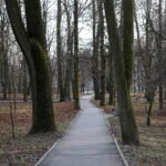 Park Zdrojowy w Busku-Zdroju / Robert Felczak / Radio Kielce