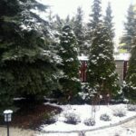 17.04.2017 Jędrzejów. Poniedziałek Wielkanocny ze śniegiem / Ewa Pociejowska - Gawęda / Radio Kielce