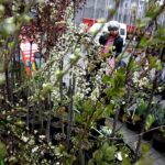 Kielce. Targi Agrotravel / Jarosław Kubalski / Radio Kielce