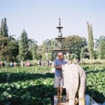 Indie / Andrzej Kadłubek