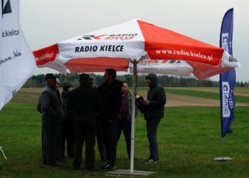 „Interwencja”. Rolnicy z Podlesia skarżą się, że odszkodowania za zniszczone przez dziki uprawy i łąki są zbyt niskie. / Krzysztof Bujnowicz / Radio Kielce