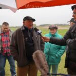 „Interwencja”. Rolnicy z Podlesia skarżą się, że odszkodowania za zniszczone przez dziki uprawy i łąki są zbyt niskie. / Krzysztof Bujnowicz / Radio Kielce