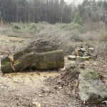 06.03.2017 Kielce. Wycinka drzew na Karczówce przy ulicy Bernardyńskiej. / Jarosław Kubalski / Radio Kielce