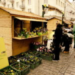 07.04.2017 Kielce. Jarmark Świętokrzyski. / Jarosław Kubalski / Radio Kielce